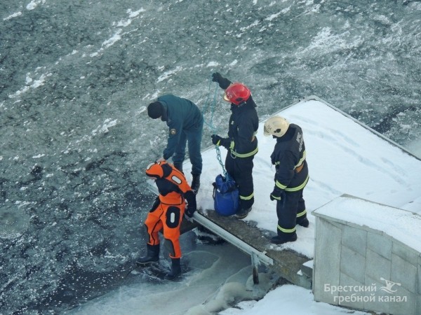 В Бресте спасли лебедя, вмёрзшего в лёд В Бресте спасли лебедя, вмёрзшего в лёд