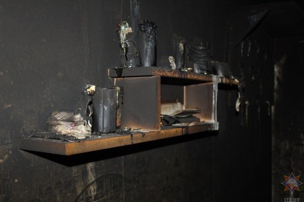 В Бресте на пожаре работники МЧС спасли мужчину, еще двое погибли, а один самостоятельно покинул огненную ловушку. Подробности