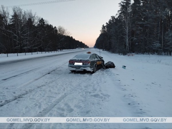 Лось выбежал на дорогу и попал под машину Лось выбежал на дорогу и попал под машину