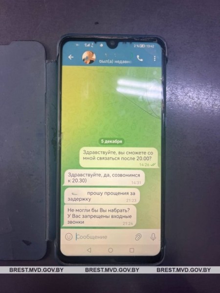 Пинчанка попыталась заработать на бирже и лишилась более 30 тысяч рублей