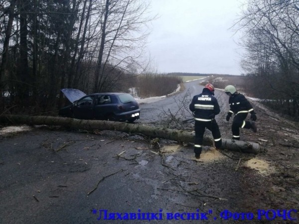 Дерево упало на проезжающий автомобиль под Ляховичами