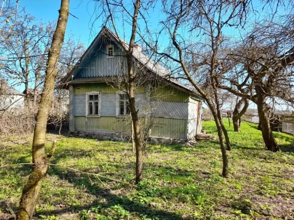Рядом с пущей и на Мальдивах. Смотрите, какие дома в Беларуси можно купить за 40 рублей Рядом с пущей и на Мальдивах. Смотрите, какие дома в Беларуси можно купить за 40 рублей