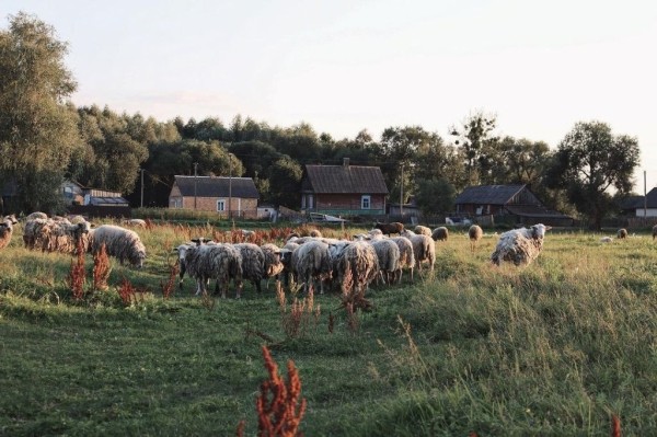 Житель Бреста нашел своё призвание в Каменецком районе