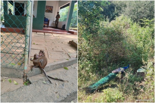 Двое суток провели в самолете — оно того стоило? Слетали на тропический остров посреди зимы и делимся впечатлениями