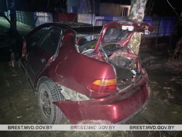 19-летний парень на Honda врезался в дерево в Жабинковском районе