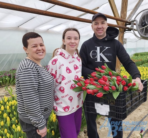 Семья из Дрогичина поделилась секретами выращивания тюльпанов