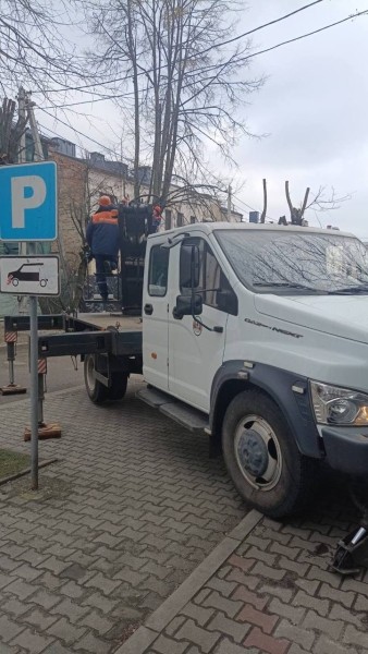 В Бресте ведутся плановые работы по обрезке и удалению опасных деревьев В Бресте ведутся плановые работы по обрезке и удалению опасных деревьев