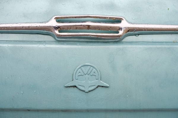 Белорус рассказал, сколько можно заработать на цветах 8 марта Белорус рассказал, сколько можно заработать на цветах 8 марта