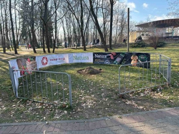 В Бресте в Парке культуры и отдыха упал столб В Бресте в Парке культуры и отдыха упал столб