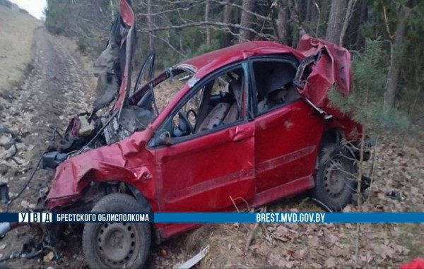 В Брестской области Citroen «вылетел» с трассы М1 В Брестской области Citroen «вылетел» с трассы М1