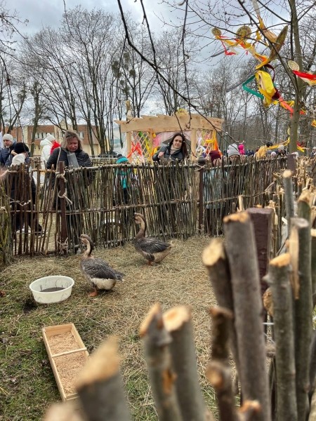 В Бресте проходят народные гуляния «Широкая масленица». Фоторепортаж