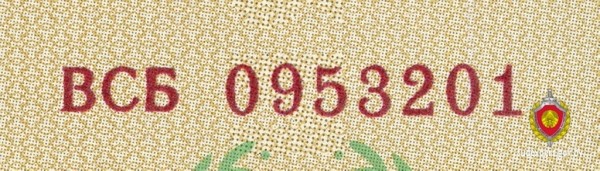 В Беларуси всплыли поддельные дипломы. Как отличили фальшивку?