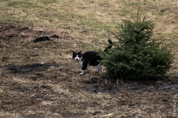 Белорус втайне построил на даче стильный дом и подарил его жене Белорус втайне построил на даче стильный дом и подарил его жене