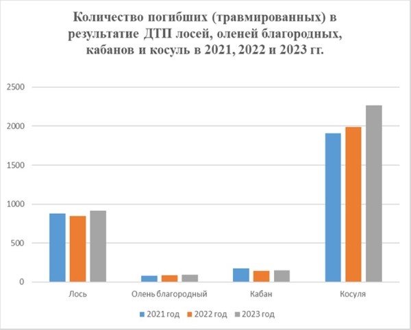 Стало больше почти на 12%. Подробная статистика ДТП с участием диких животных в Беларуси за 2023 год