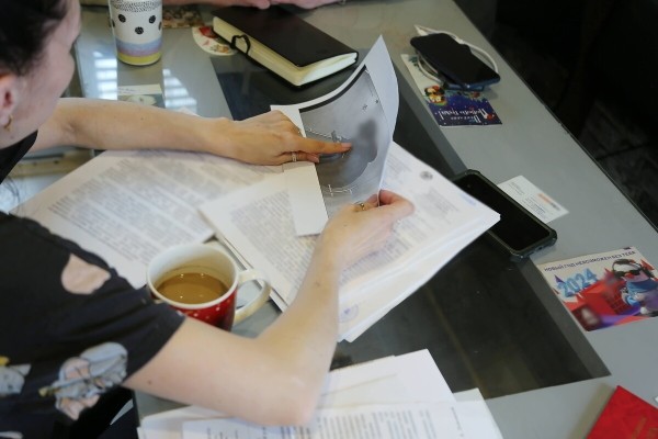 «Муж в колонии, я — на „химии“». Многодетная белоруска о последствиях льготной растаможки «Муж в колонии, я — на „химии“». Многодетная белоруска о последствиях льготной растаможки