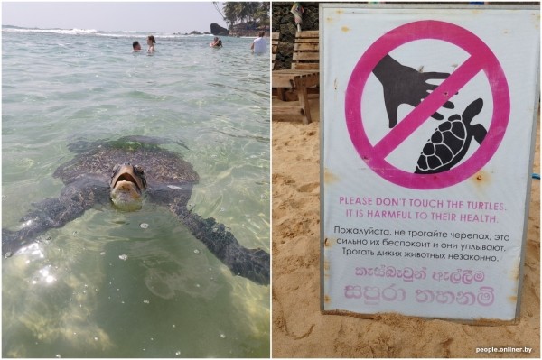 Двое суток провели в самолете — оно того стоило? Слетали на тропический остров посреди зимы и делимся впечатлениями