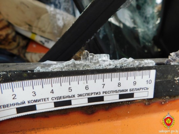 Рассеянный хулиган повредил автомобиль в Бресте. Ущерб оценили эксперты