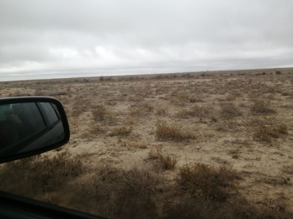 Больше 12 000 км на стареньком Volvo. Белорусы посмотрели четыре страны без виз — и вы тоже так можете Больше 12 000 км на стареньком Volvo. Белорусы посмотрели четыре страны без виз — и вы тоже так можете