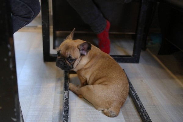 «Муж в колонии, я — на „химии“». Многодетная белоруска о последствиях льготной растаможки «Муж в колонии, я — на „химии“». Многодетная белоруска о последствиях льготной растаможки