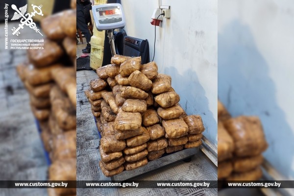 Белорусские таможенники распотрошили AUDI литовца. Что нашли?