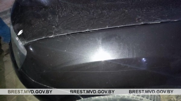 В Брестском районе водитель Audi сбила пешехода и скрылась В Брестском районе водитель Audi сбила пешехода и скрылась