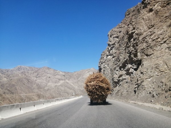 Больше 12 000 км на стареньком Volvo. Белорусы посмотрели четыре страны без виз — и вы тоже так можете Больше 12 000 км на стареньком Volvo. Белорусы посмотрели четыре страны без виз — и вы тоже так можете