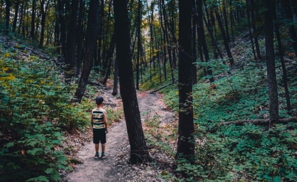 Если ребенок потерялся в лесу: что нужно знать родителям, чтобы избежать трагедии Если ребенок потерялся в лесу: что нужно знать родителям, чтобы избежать трагедии