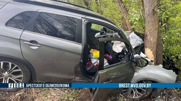 В Жабинковском районе водитель Mitsubishi уснул за рулем и врезался в дерево