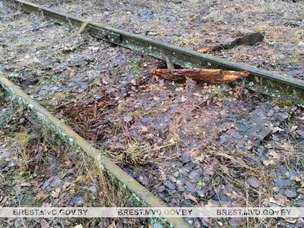 Житель Пинска решил разобрать на металлолом железнодорожные пути