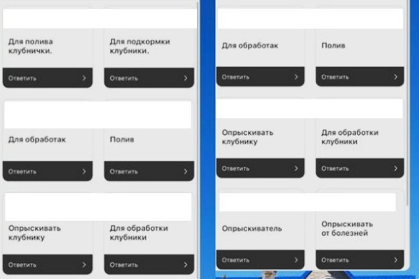 Необычный самодельный аппарат для ухода за клубникой показала в своем блоге жительница Брестской области