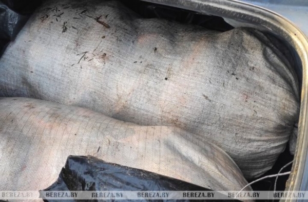 Более 100 кг рыбы в багажнике: на жителя Березовского района заведено уголовное дело