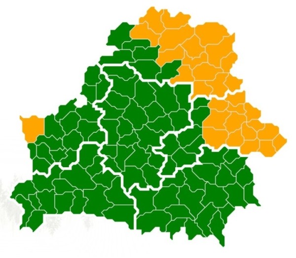 В Брестской области сняты ограничения на посещения лесов