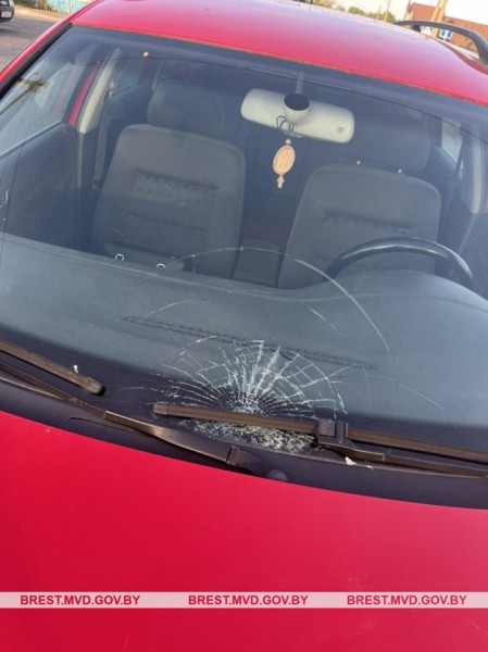 Пожилая женщина-водитель сбила пенсионерку в Березе Пожилая женщина-водитель сбила пенсионерку в Березе