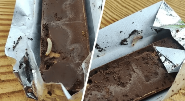  Белорус нашел живых червей в шоколаде «Коммунарка» 