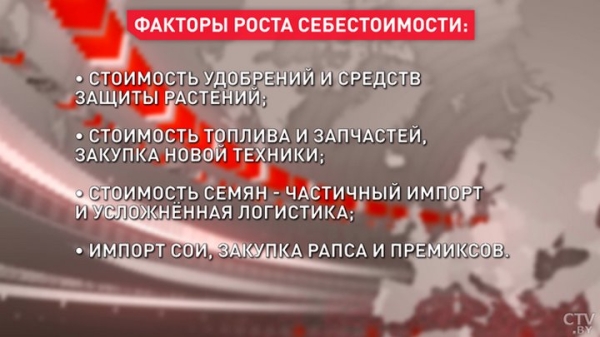 От чего зависит цена на молочку и мясо в Беларуси? Рассказали на одном из брестских предприятий