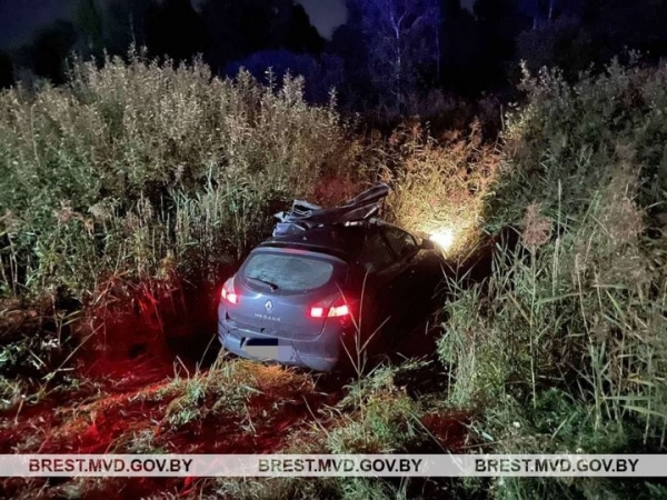 В Брестской области на трассе М1 водитель «Рено» врезался в лося В Брестской области на трассе М1 водитель «Рено» врезался в лося