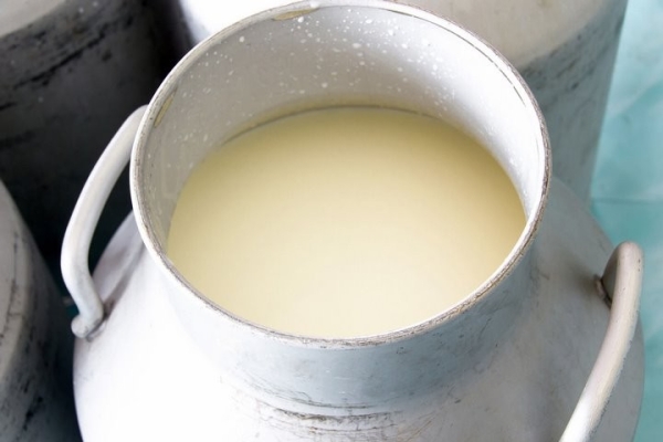 В Кобринском районе бригадира фермы и ИП осудили за поставку воды под видом молока