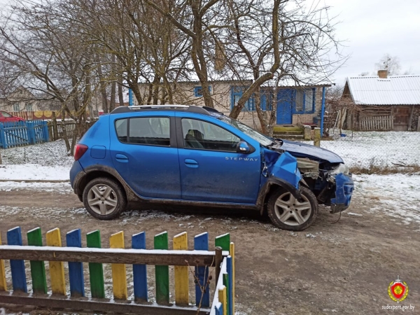 У 26-летней жительницы Пружанского района угнали Renault У 26-летней жительницы Пружанского района угнали Renault