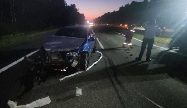 Лось спровоцировал смертельное ДТП на трассе М1 Брест – Минск – граница РФ Лось спровоцировал смертельное ДТП на трассе М1 Брест – Минск – граница РФ