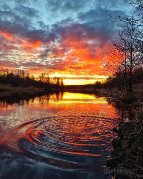 Читатель: Огненный рассвет. Фото сделаны сегодня в городе-спутнике Бреста
Читатель: Огненный рассвет. Фото сделаны сегодня в городе-спутнике Бреста