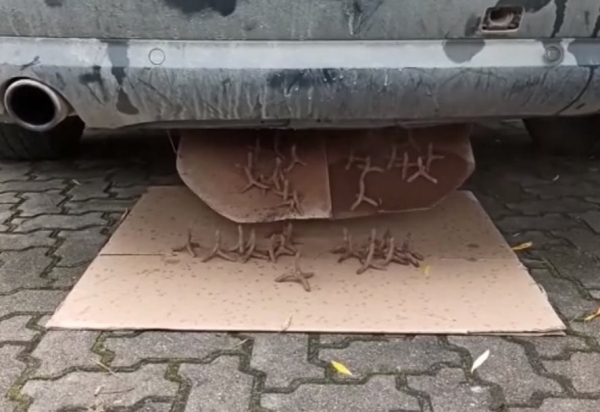 Контрабандисты сделали в Audi тайник, откуда высыпаются шипы на случай погони Контрабандисты сделали в Audi тайник, откуда высыпаются шипы на случай погони