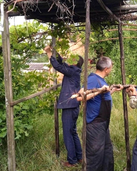 Жители Пинского района спасают попавших в беду аистов