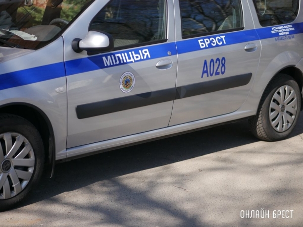 В Беларуси за выходные выявили почти 400 бесправников