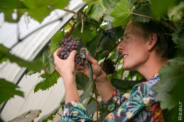 «Высадил рассаду на 11 тысяч долларов». Как обычный парень из Бреста создал сад с тысячами растений на 2 гектарах «Высадил рассаду на 11 тысяч долларов». Как обычный парень из Бреста создал сад с тысячами растений на 2 гектарах