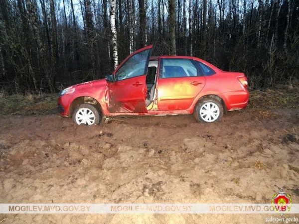 Пьяный житель Брестской области с другом угнали авто и пытались его сжечь