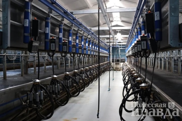 В Брестской области в Колодеевичах торжественно открыли новую молочно-товарную ферму В Брестской области в Колодеевичах торжественно открыли новую молочно-товарную ферму