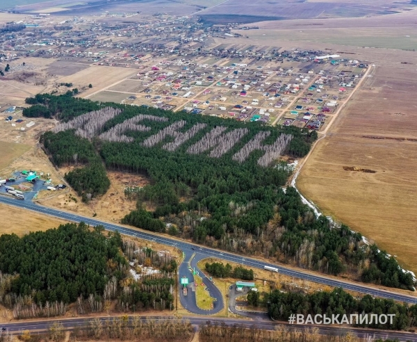 Более трети территории Брестской области покрыты лесами
