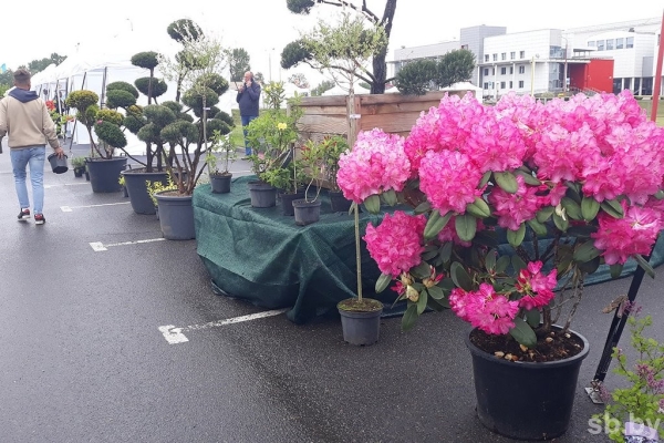 Министр ЖКХ назвал Брест одним из эталонов благоустройства в стране Министр ЖКХ назвал Брест одним из эталонов благоустройства в стране