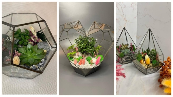 «Каждую неделю дарил жене кактусы, а потом — запустил бизнес». Посмотрите, какие флорариумы делает этот белорус