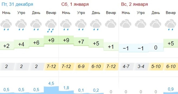 Какой будет погода в Бресте в Новогоднюю ночь?